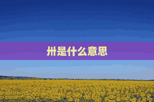 卅是什么意思